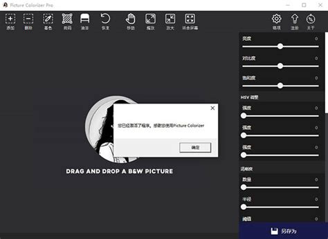 Picture Colorizer Pro 3.1.0